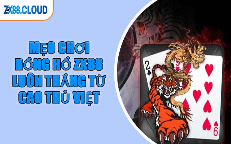 Mẹo Chơi Rồng Hổ ZX88 Luôn Thắng Từ Cao Thủ Việt