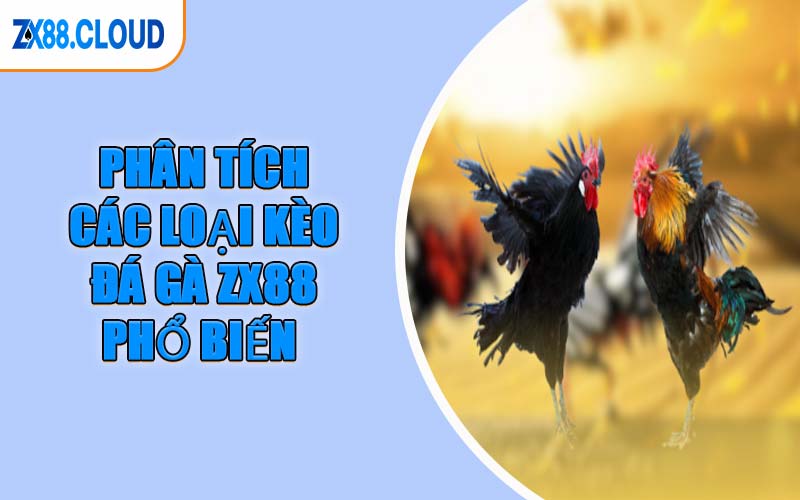 Phân Tích Các Loại Kèo Đá Gà ZX88 Phổ Biến 